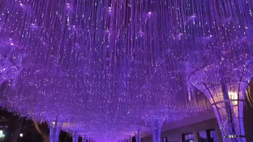 ���� ����������: �������� � �������� ����� ������ ����� �������� ������� �� ��������� ����������� ���������