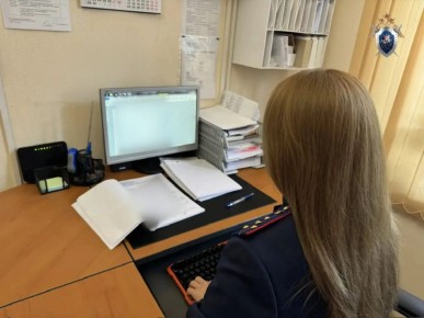 В Советском округе две женщины и мужчина осуждены за организацию незаконной миграции