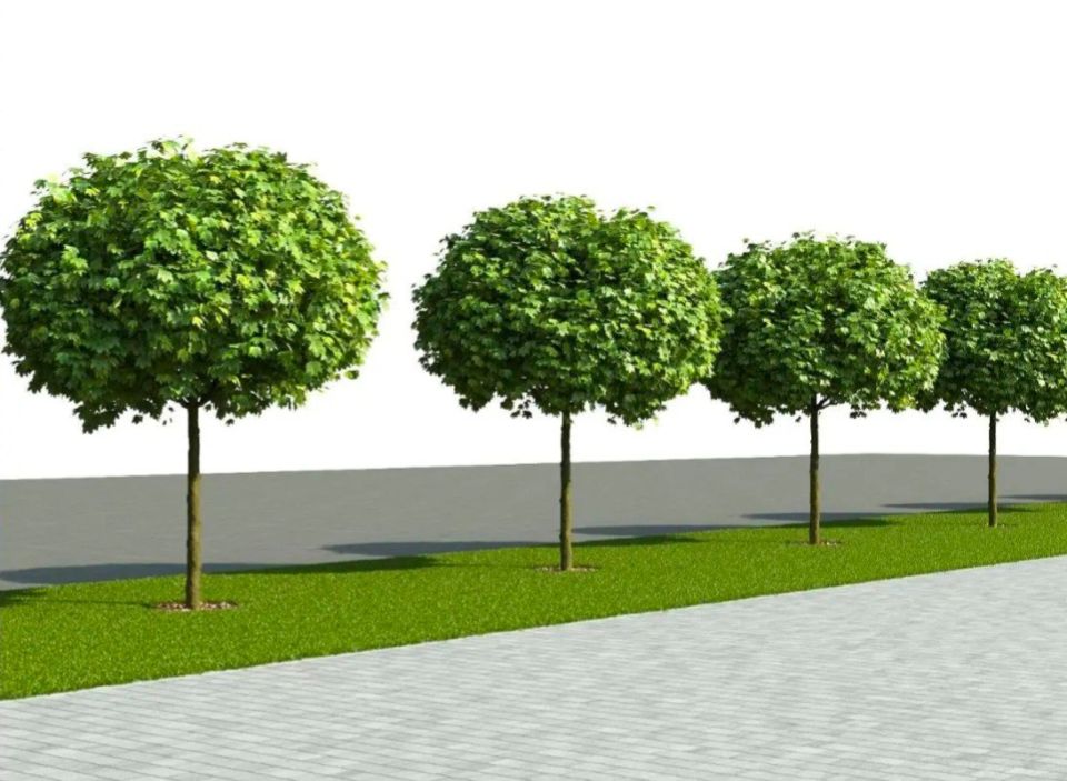 ������� ������ � ���������� ��� ���������� ����������