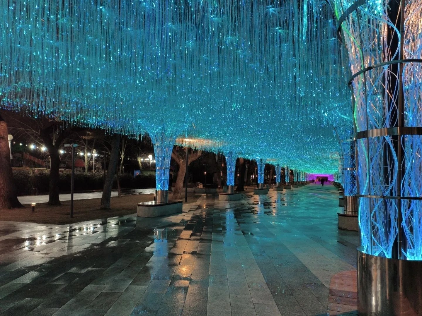 Весна в Ставрополе заиграла новыми красками: на проспекте Октябрьской Революции световой тоннель переключили на весенний режим Весна в Ставрополе заиграла новыми красками: на проспекте Октябрьской Революции световой тоннель переключили на весенний режим