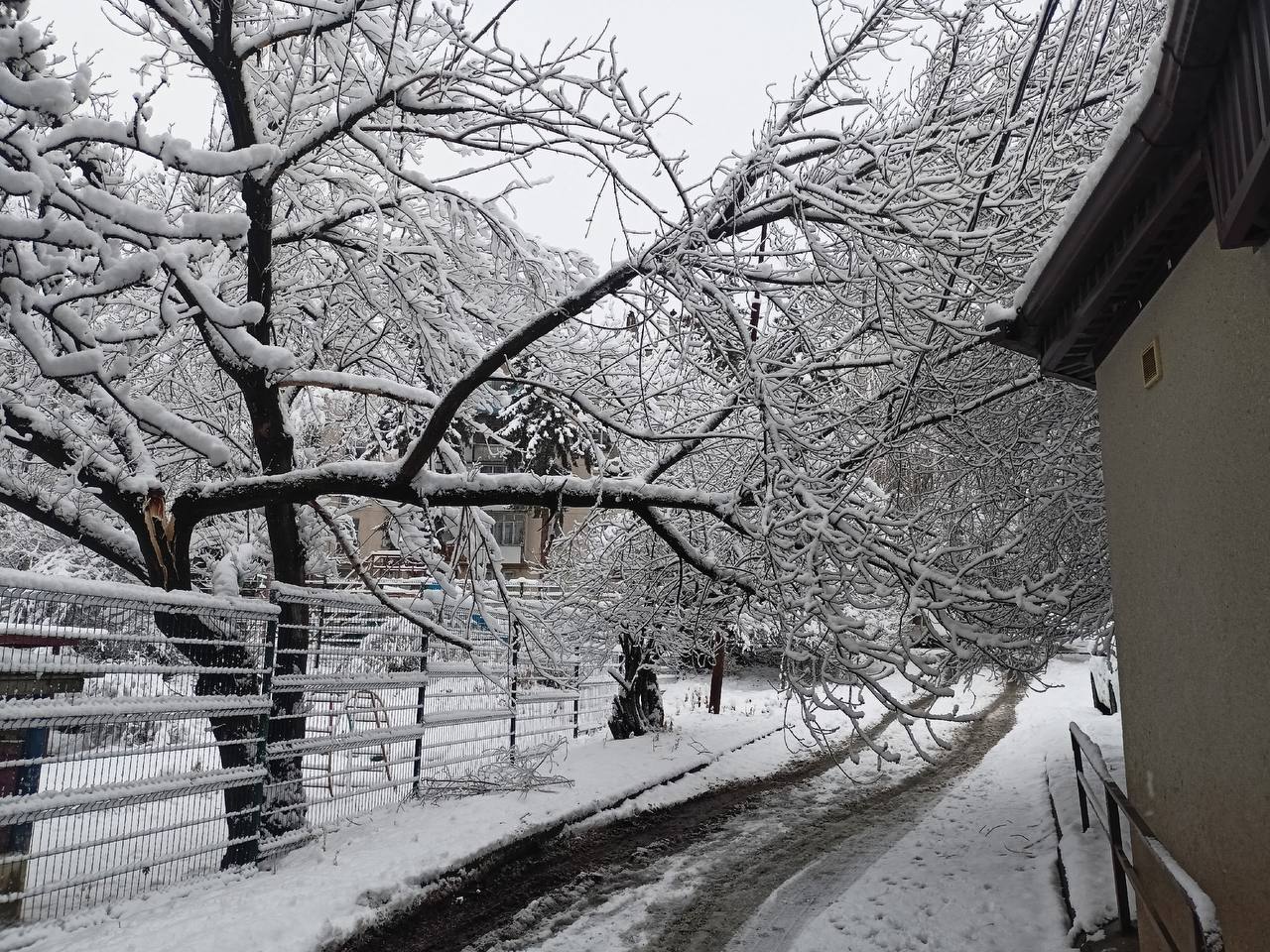 Непогода устроила настоящий хаос в Кисловодске Непогода устроила настоящий хаос в Кисловодске