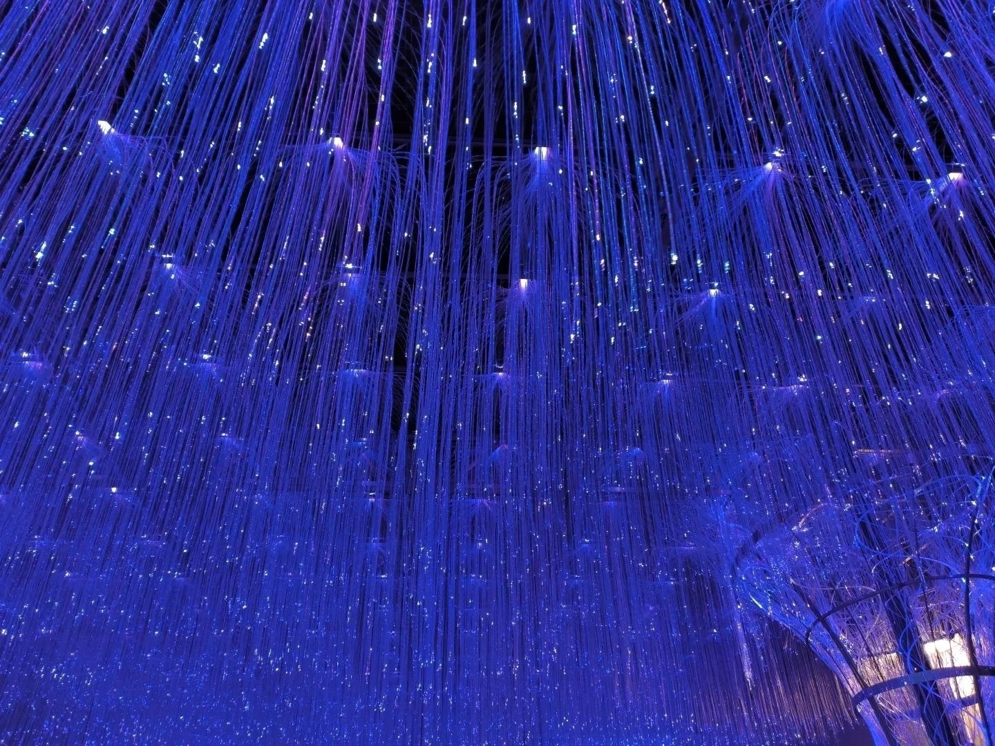 Весна в Ставрополе заиграла новыми красками: на проспекте Октябрьской Революции световой тоннель переключили на весенний режим Весна в Ставрополе заиграла новыми красками: на проспекте Октябрьской Революции световой тоннель переключили на весенний режим