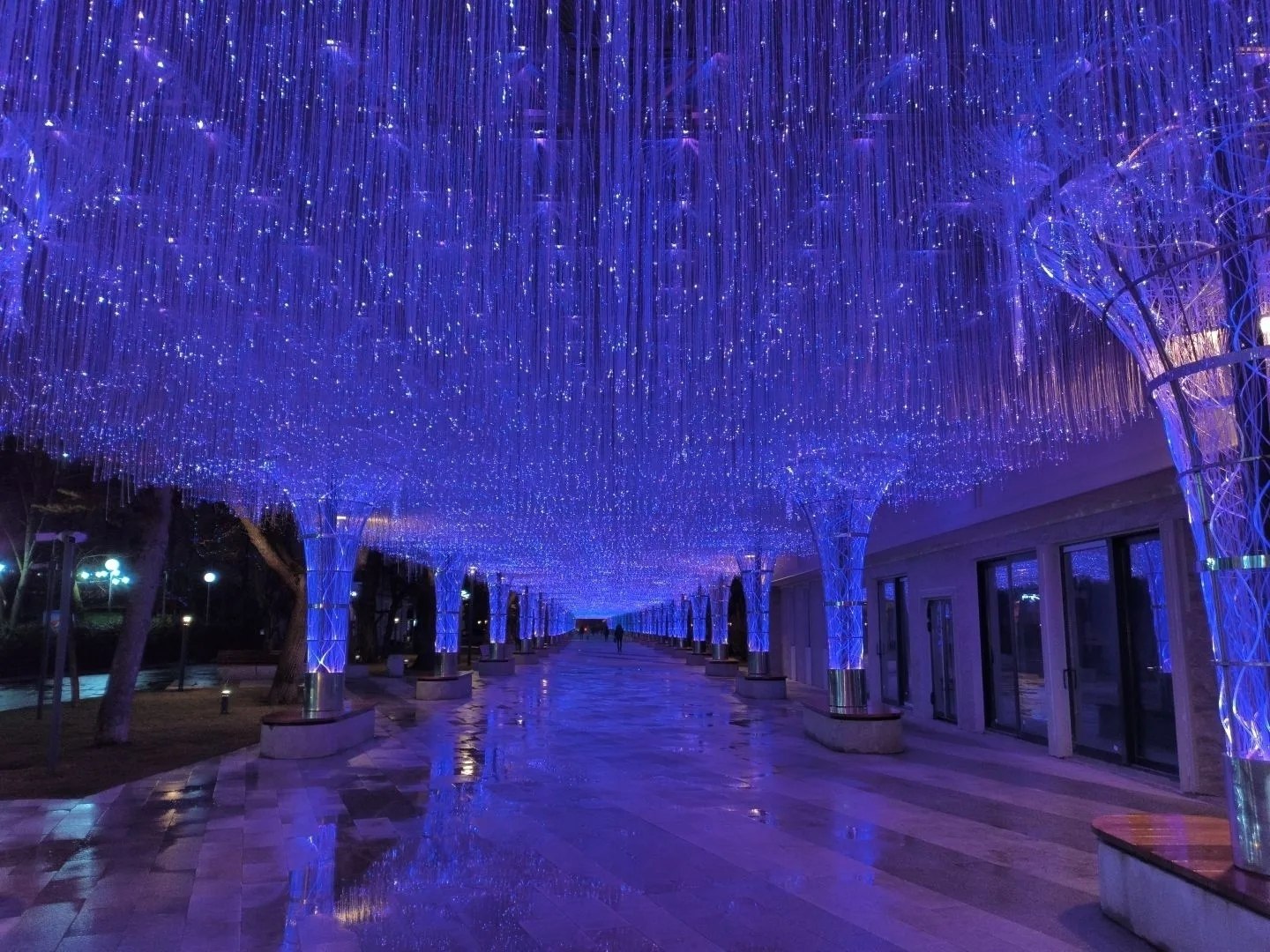 Весна в Ставрополе заиграла новыми красками: на проспекте Октябрьской Революции световой тоннель переключили на весенний режим Весна в Ставрополе заиграла новыми красками: на проспекте Октябрьской Революции световой тоннель переключили на весенний режим