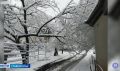 Последствия зимних осадков ликвидируют в Кисловодске