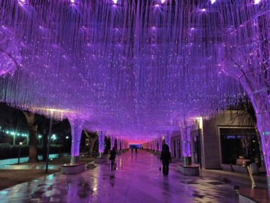 ����� � ���������� �������� ������ ��������: �� ��������� ����������� ��������� �������� ������� ����������� �� �������� �����