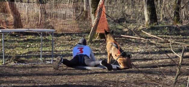 ������� ��������� �� ��������������� ������ ������ � �������������