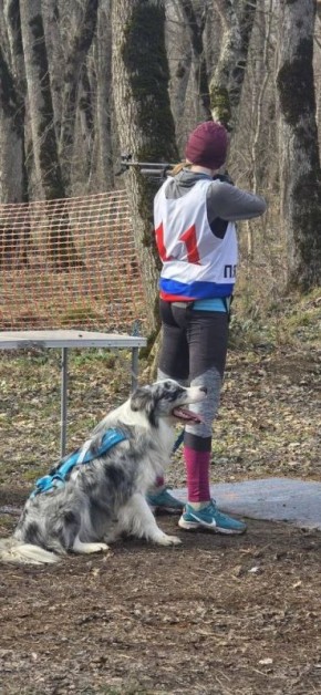 ��������� ����������� �� ��������������� ������