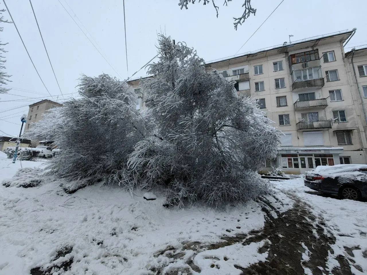 Непогода устроила настоящий хаос в Кисловодске