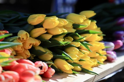 ������� ���������: � ���������� � ���������� �������������� �������� ��� ������� ����� ��� ��������� �������