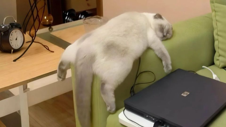 ������� ���������� ����������� �������� ��� ��������