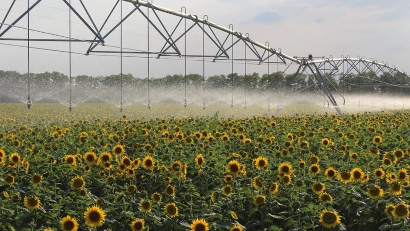 1 ������ ����������� �������� ������� ������� ��������� ������ � ������� �� 137 ���