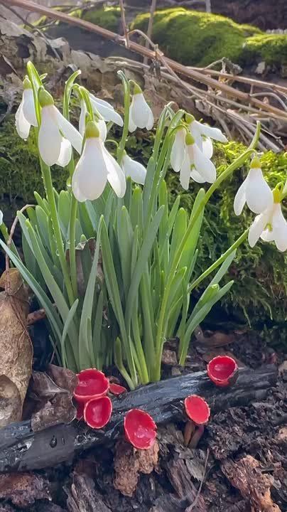 ������������� �������� ����� � ����� ���