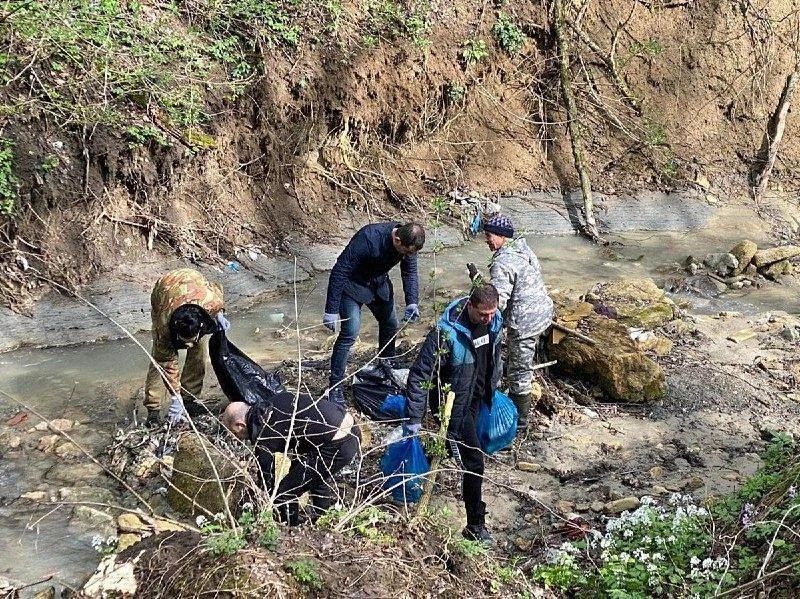 ����������������� ����������� ���������� � ����������