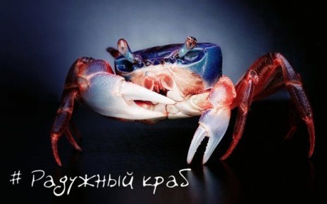 ������������ �������� ����: ����� ��������� ��������������