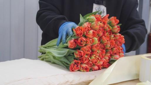 4 ��� ��������� �� ����������� �������� ������ �� ���� ������