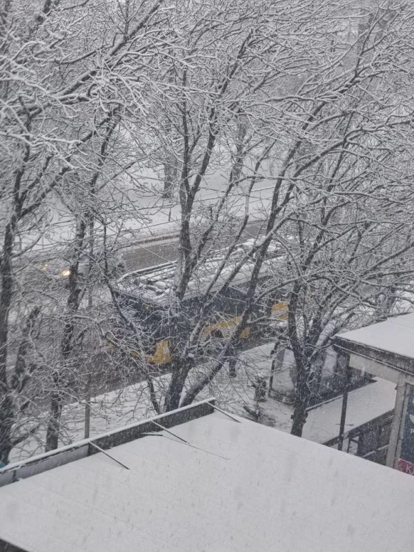 � ����� ����� � ����������� 8 �����, ������������!