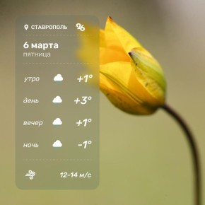 ������ � ���������� 6 �����