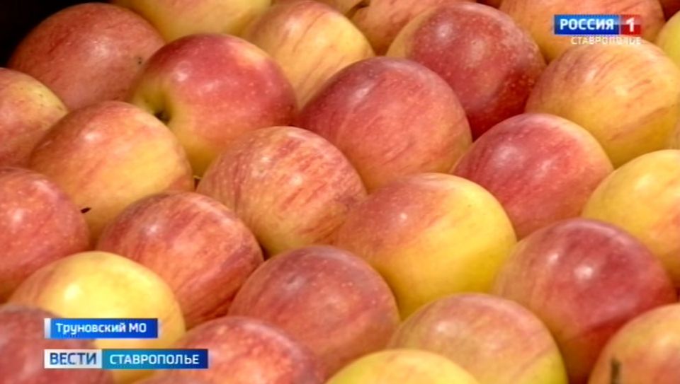 ����������� ��������� �������� �������� ����� �� 75 ����� ����