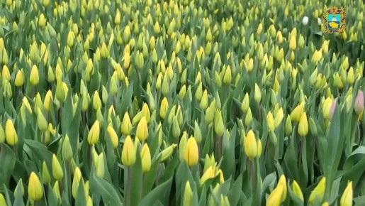 4 ��� ��������� �� ������������� ������ �������� ������ �� ���� ������