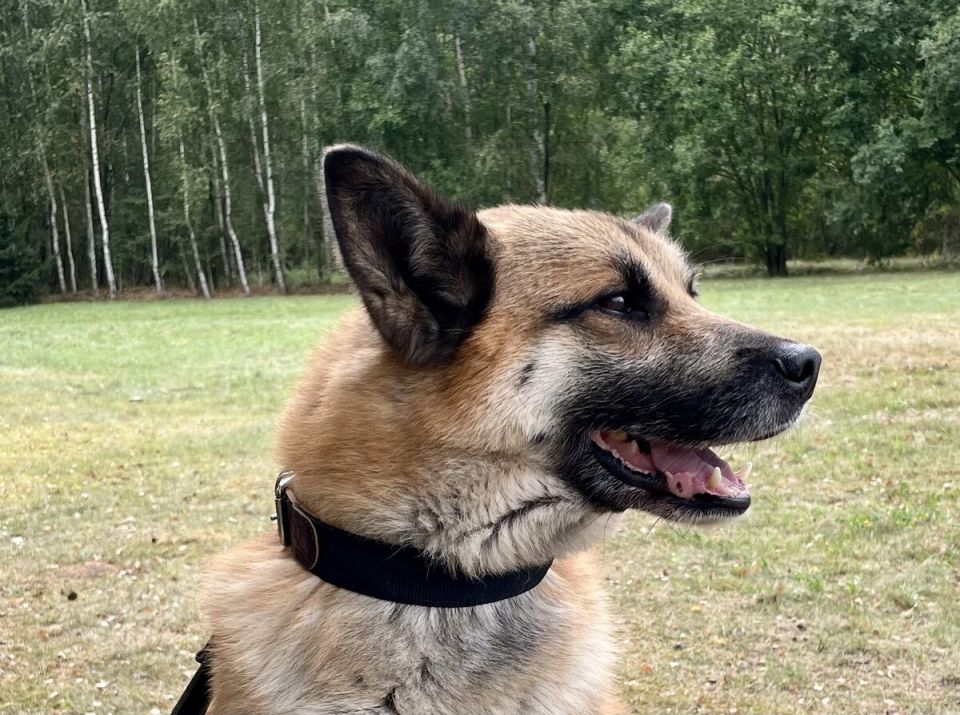 �����, ����� � ������ ����� ������� ��������� ������