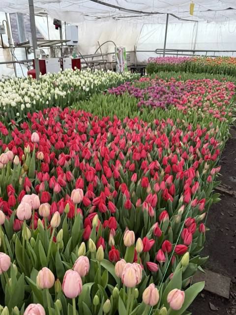 � 8 ����� � ���������� ������ ����������� �������� 700 ����� ��������� � ���