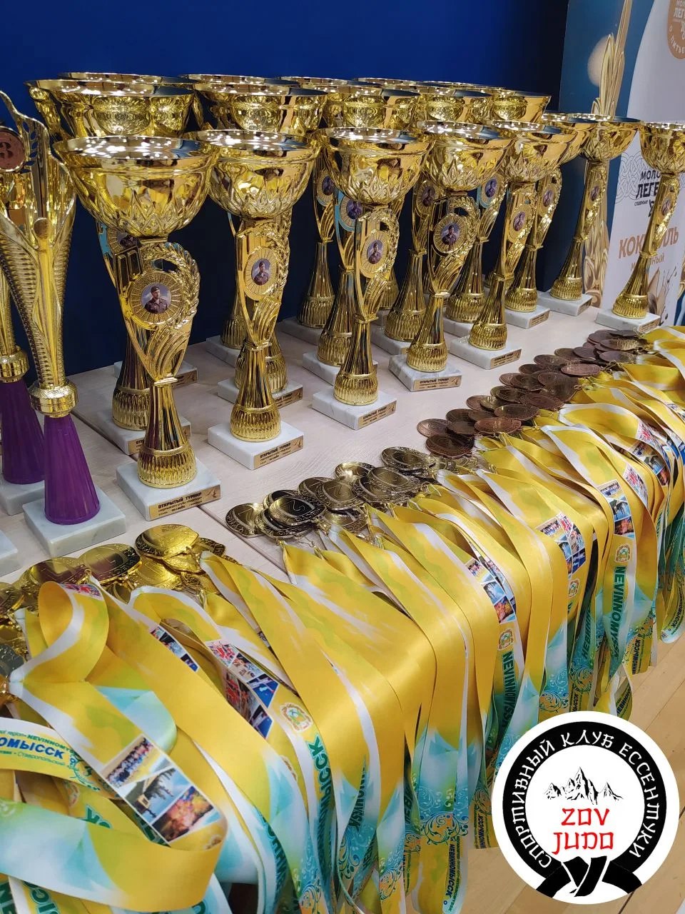 В минувшие выходные в Невинномыске состоялся спортивный турнир, собравший 200 спортсменов из Ставропольского края и Донецкой Народной Республики В минувшие выходные в Невинномыске состоялся спортивный турнир, собравший 200 спортсменов из Ставропольского края и Донецкой Народной Республики