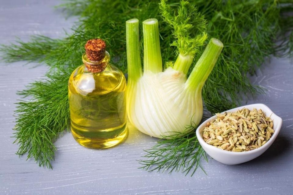 ������ ����� �� ����� �������: ��� ������������ � ��� ��� �������