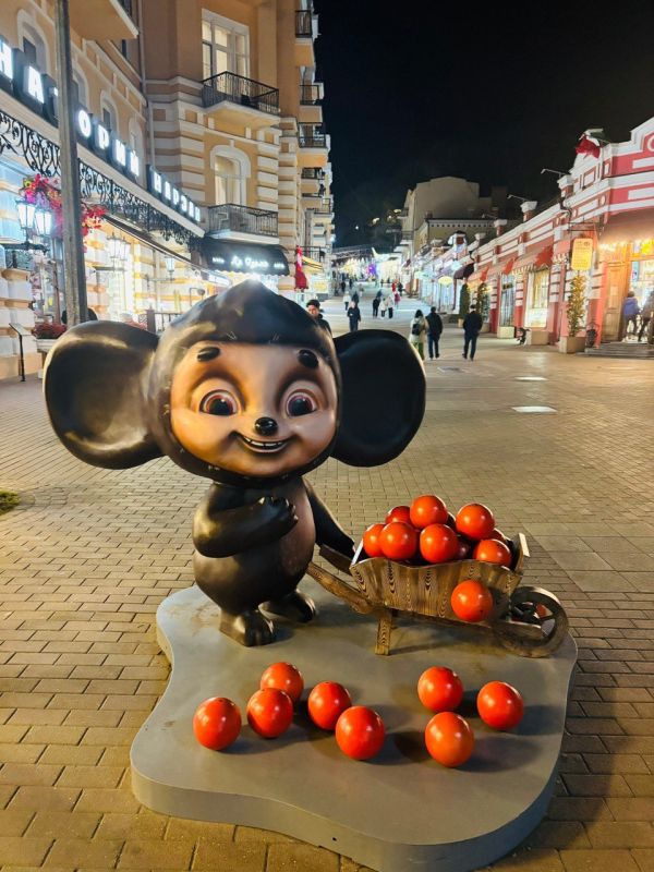 ������� �������: ���������� ����� � ���-10 ���������� ����������� ��� ������� � ������ � �����