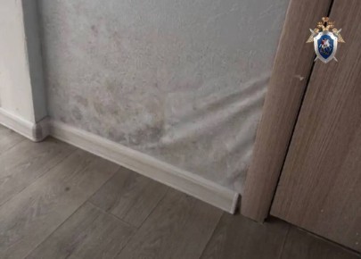 ����������� �� ������ ������������ �������� �� ���������� �� ��� � ������������ ��������� ���������������� ���� � ����������