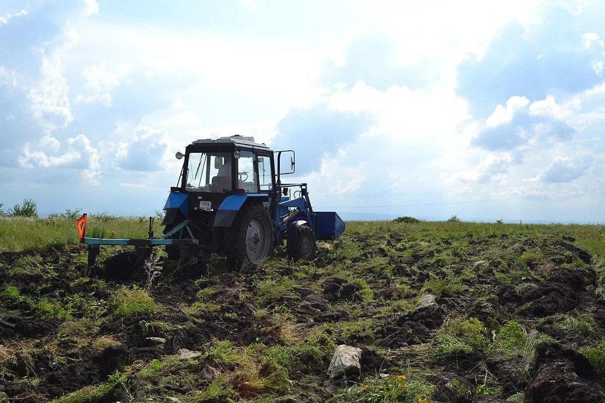 Трехкратную опашку территории на площади почти 90 гектаров проведут в Ставрополе