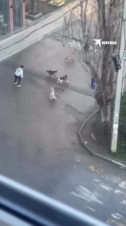 ���� ����� ������ �� 11-������� �������� � ���������