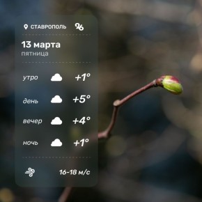 ������ ����!. ������ �� �������