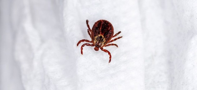 ����������� �������: ������� ����� ����� � ��� ��� ������ �� ���?