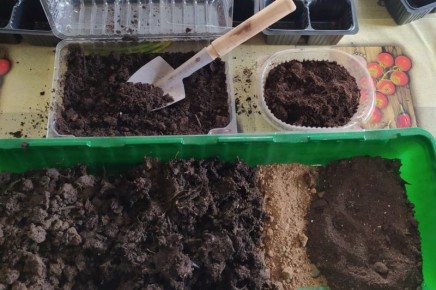 ������ ������ ��������������� ����� ����� ������� ����� �������