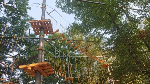 ��������� ������� ����� �������� � ������������ ������������ �����