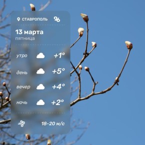 ������ ����!. ������ �� �������