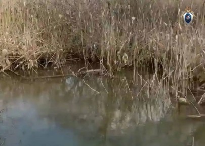 � ������� ������ ����������� �� ������ �������� �������������� ��������� �������