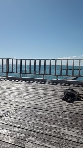 ��������� ����� �������� ������ �� ���������� ������ � �������� ������ �� ���������!