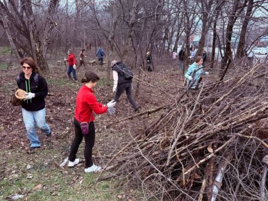 ������ ���������� ������� ��������� �� ������ ���� �����