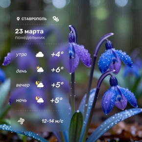 ������ � ���������� 23 �����