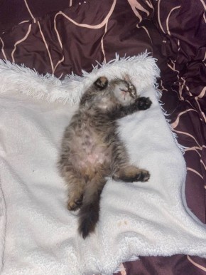 ��������� ��������� ���� ����� �����, � � ����������� ����