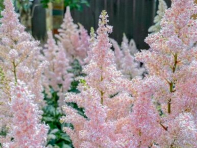 �������� ��������: ��������� ����� ��� ��������� ����