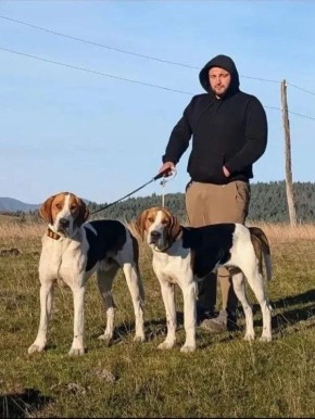 � ���������� ������ �������� ������ �����