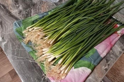 ��� ��������� ��� ���� ����� � ������������ ������������ �������