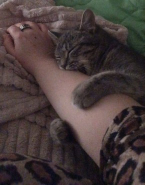 �������, ���� �������� �� ���� ������� � ������ �������, �� �� ����� �� ������