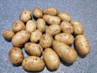 �������� � �������� ���������: ����������� ������ �� ��������