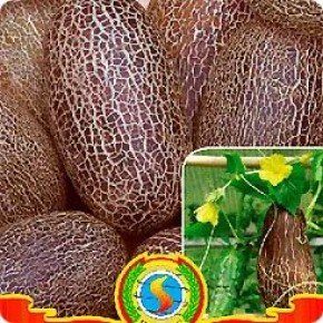 �������� ��������: ��� ������ ����� �������������