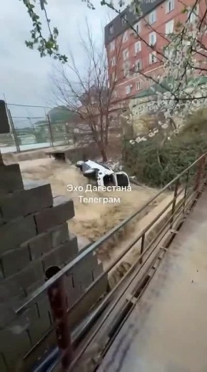 � �������� ������ ��������� ����������