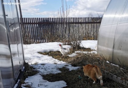 ������ ���� ������� ���� �������� ��� ��������