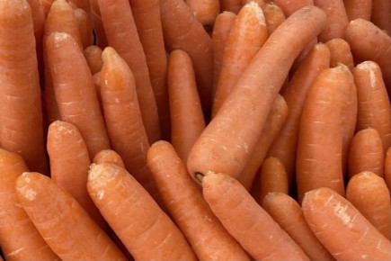 ����������: ���� ����� �������� ����� ������ �������